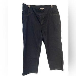 Woman Within Navy Denim Pants